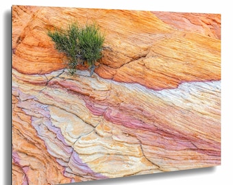 Valley of Fire Desert Fine Art Photography -Nevada Nature, Endurance in Stone