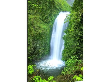 Hidden Falls - Friedliche Beton Natur Wandkunst