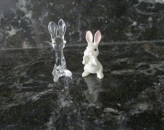 2 Tiny Bunny Rabbits