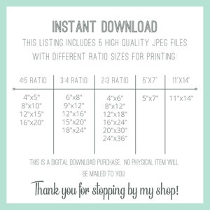 May include: A chart showing different aspect ratios for printing digital images. The chart lists the dimensions in inches for each ratio, including 4:5, 3:4, 2:3, 5x7, and 11x14.
