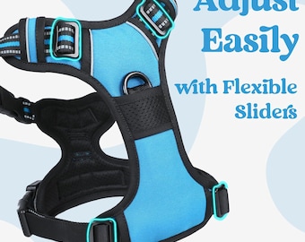 No-Pull Hundegeschirr für mittelgroße Hunde: Himmelblaue gepolsterte Weste mit Steuergriff