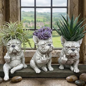 Grumpy French Bulldog Planter - Funny Middle Finger Frenchie Flower Pot - Rude Dog Statue Succulent Planter - Unique Gift for Dog Lovers