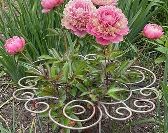 Supporto per piante a spirale in metallo fatto a mano, paletto da giardino in acciaio grezzo, struttura di supporto per peonie e ortensie, decorazione rustica per giardino in stile inglese.
