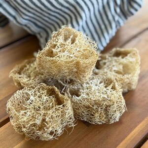 May include: A collection of natural loofah sponges, with a light tan color and a textured, porous appearance. The sponges are arranged on a wooden surface, with a striped basket in the background.