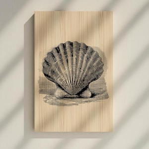 Puede incluir: Ilustración en tonos sepia de una concha de vieira impresa en un panel de madera rectangular. La concha está detallada con finas líneas, mostrando su textura acanalada y forma curvada. La obra de arte está montada sobre una superficie de madera clara.