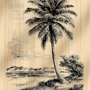 May include: Black and white illustration of a tropical scene featuring a palm tree, shoreline, and distant mountains. The artwork is set against a light brown, wood-grain background, creating a vintage aesthetic.