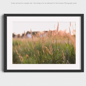 Summer Sunset Countryside Photo Print: Midwest Farmhouse Wall Art