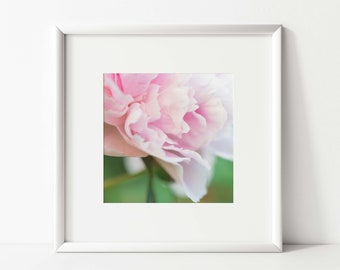 Pink Peony Photography Print, Floral Wall Art