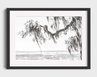 South Carolina Low Country Photography, Living Oak Tree with Fishing Boats Coastal Salt Marsh Wall Art, Modern Nature Travel Photo Print