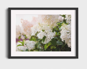 Floral Wall Art, Hydrangea Photography Print, Cottagecore Decor