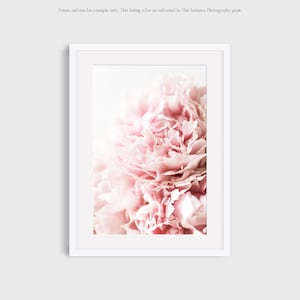 May include: A framed print featuring a close-up of a soft pink peony flower. The petals are layered and textured, with a gradient of light and shadow. The frame is white. The text at the top says, "Frame and mat for example only. This listing is for an unframed In This Instance Photography print."