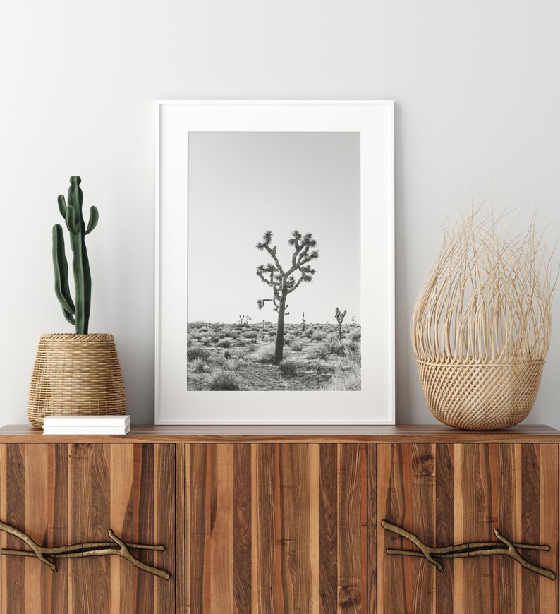 Joshua Tree Wall Art, Mojave Desert Landscape Photography, California ...