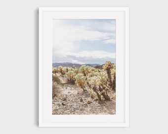 Joshua Tree Photography Print, Mojave Desert Wall Art, California Landscape Boho Prints, Cholla Cactus Garden Photo