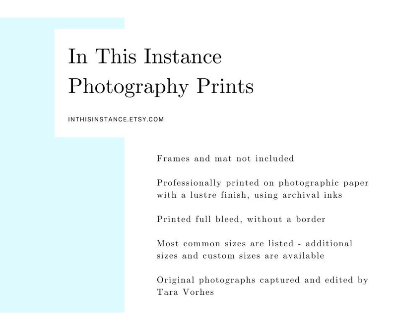 May include: Text overlay on a light blue background. The text reads "In This Instance Photography Prints" and "INTHISINSTANCE.ETSY.COM". Below the text, there is a list of details about the prints, including that frames and mats are not included, the prints are professionally printed on photographic paper with a lustre finish using archival inks, and that the prints are printed full bleed without a border. The text also states that most common sizes are listed, but additional sizes and custom sizes are available. The text concludes with "Original photographs captured and edited by Tara Vorhes."