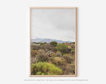 Mexico Landscape Photography Print, Oaxaca Botanical Garden Wall Art
