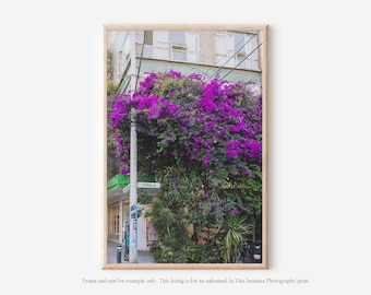 Mexico City Photography Print, Colorful Floral Wall Art