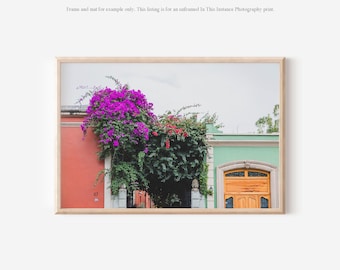Oaxaca Mexico Photography Print, Colorful Floral Wall Art