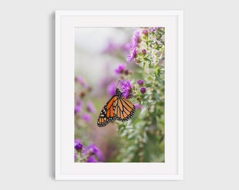 Wildflower and Monarch Butterfly Photography Print, Nature Wall Art