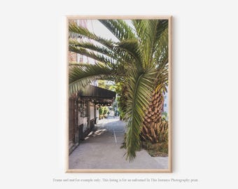 Mexico City Photography Print, Botanical Street Wall Art