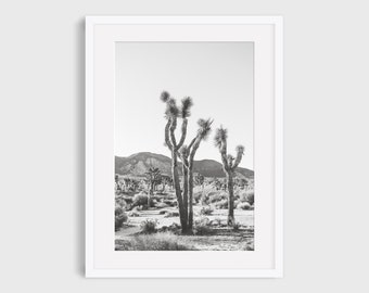 Joshua Tree Wall Art, Mojave Desert Landscape Photography, California Black and White Boho Print