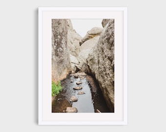 Custer State Park South Dakota Photography, Black Hills Hiking Trail Nature Mountain Midwest Travel Vertical Photo Wall Art Print