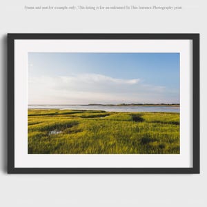 Cape Cod Salt Marsh Photography Print, Coastal Wall Art Landscape Print