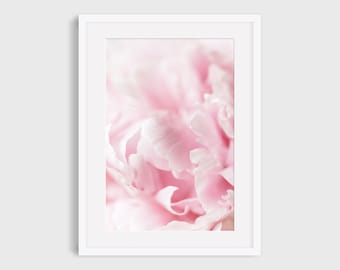 Peony Photography Print, Macro Abstract Floral Wall Art