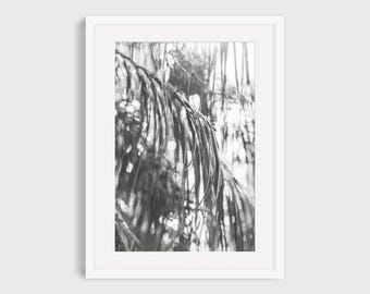 Palm Leaves Abstract Photography Print, Black and White Coastal Wall Art
