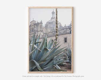 Mexico City Architectural Photography Print, Urban Nature Wall Art