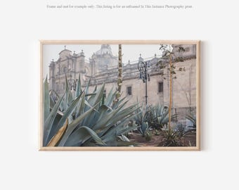 Mexico City Architectural Photography Print, Urban Nature Wall Art