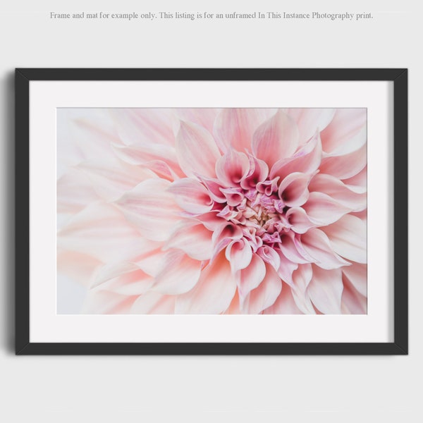 Flower Photography Print, Cafe Au Lait Dahlia Flower Wall Art, Floral Photo Print Wall Art