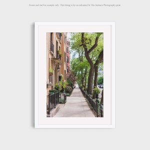 Chicago Photography Print, Lincoln Park Summer Tree Lined Sidewalk Urban Wall Art