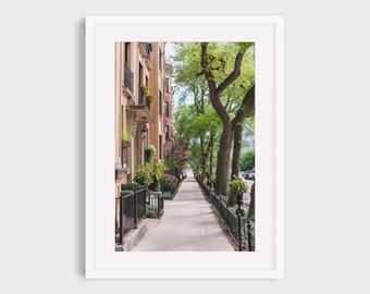 Chicago Photography Print, Lincoln Park Summer Tree Lined Sidewalk Urban Wall Art