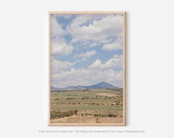 Mexico Agave Field Photography Print, Oaxaca Nature Wall Art