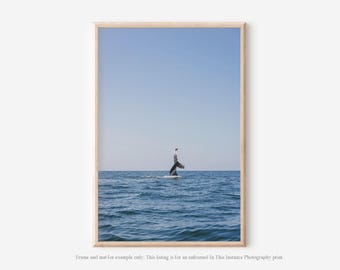Humpback Whale Tail Wall Art, Ocean Photography Print