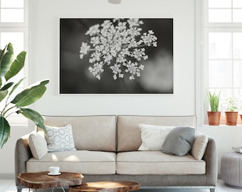 Wildflower Photography Print, Black and White Flower Nature Wall Art
