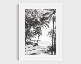 Palm Tree Lined Beach Path Coastal Photography Print