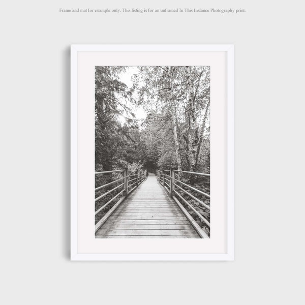 Northern Minnesota Black and White Photography, Northwoods Trail Midwest Vertical Landscape Travel Photo Decor Wall Art Print