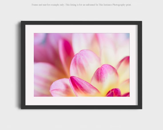 Dahlia Flower Photography Art Print Abstract Floral Elegant Etsy