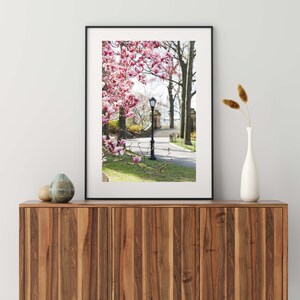 May include: A framed photograph of a street scene in a park with a lamppost and a path lined with pink magnolia blossoms.
