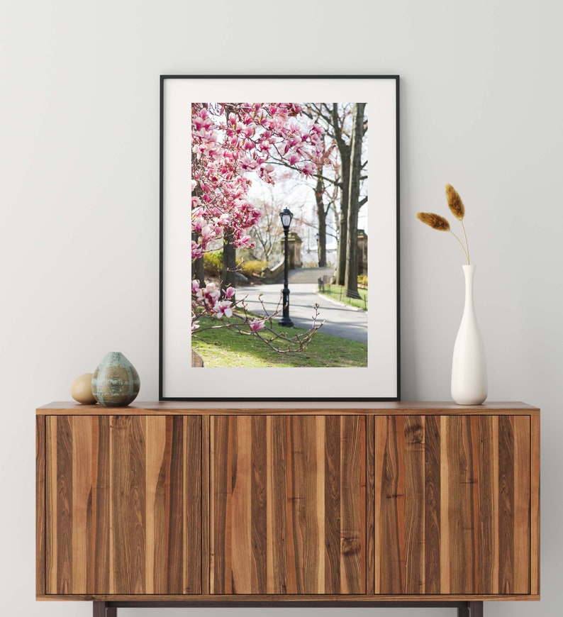 May include: A framed photograph of a street scene in a park with a lamppost and a path lined with pink magnolia blossoms.