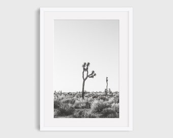 Joshua Tree Wall Art, Mojave Desert Landscape Photography, California Black and White Boho Print