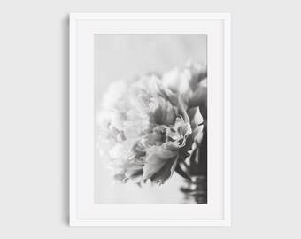 Black and White Flower Photography Print, Peony Wall Art