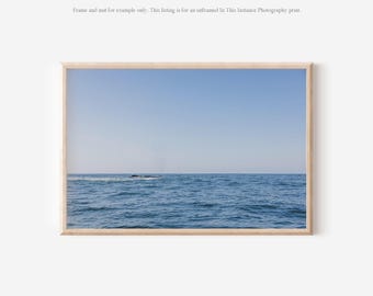 Humpback Whale Wall Art, Ocean Photography Print
