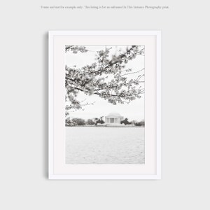 Washington DC Photography, Black and White Tidal Basin Jefferson Memorial Cherry Blossom Wall Art, Vertical Landscape Travel Photo Print