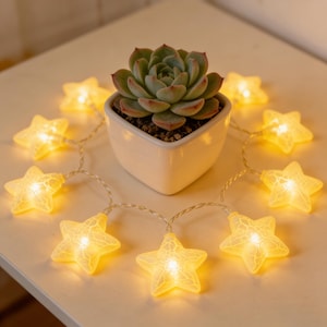 Peut inclure: Une plante succulente dans un pot carré blanc est entourée d'une guirlande de lumières en forme d'étoiles. Les lumières sont jaunes et ont une surface texturée. La plante a des feuilles vertes avec des bords rouges.