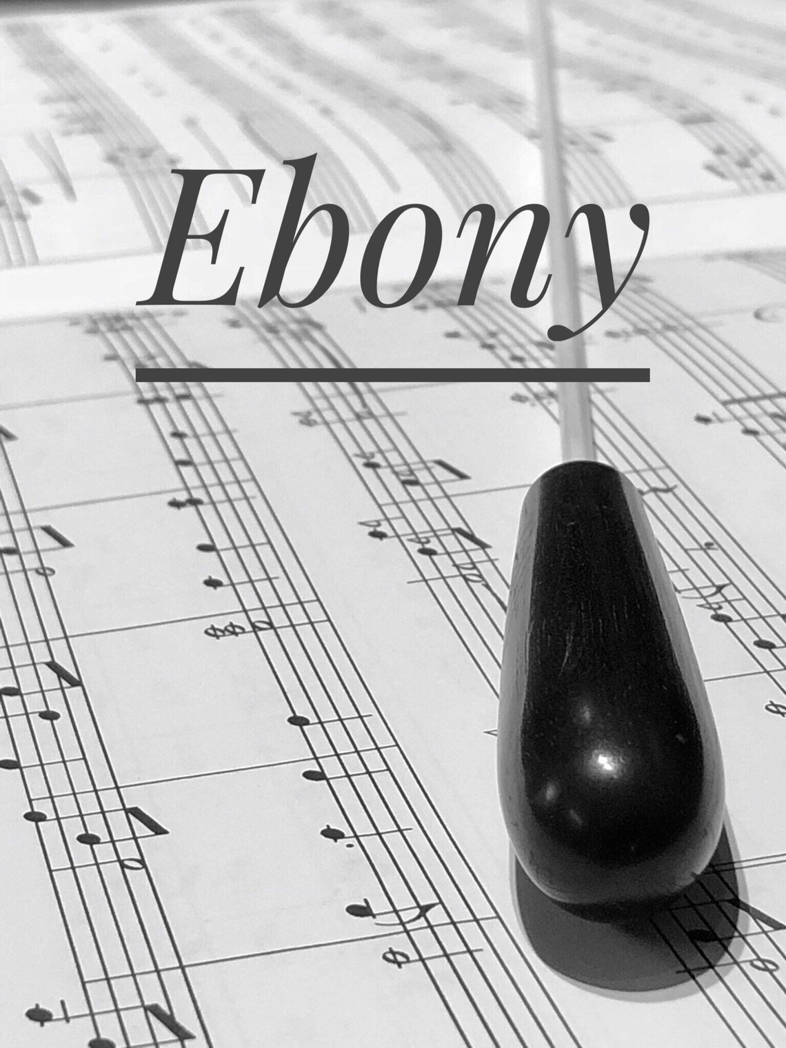 Music Conductor Baton Conducting Baton Conductor's Baton Etsy