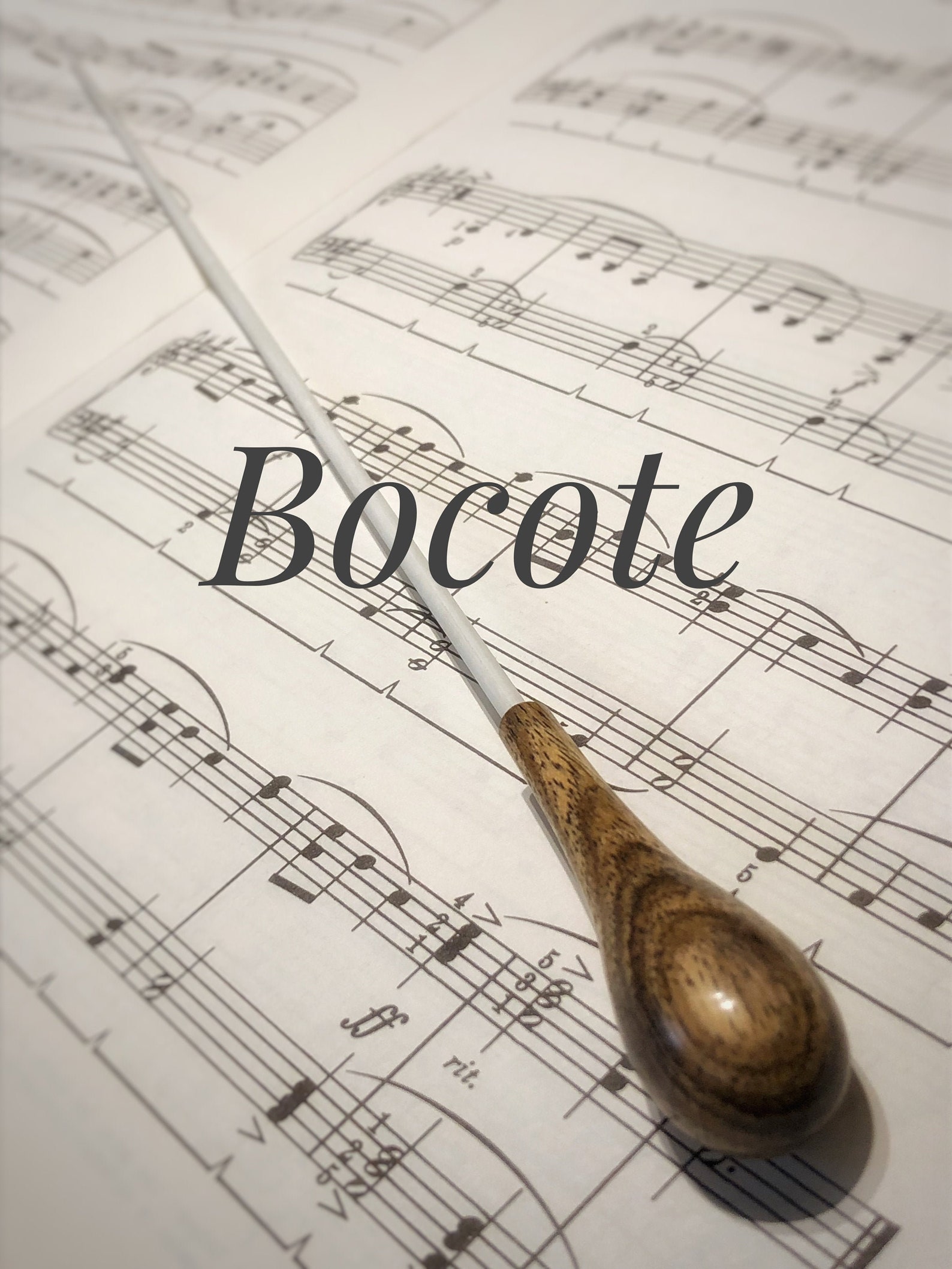 Music Conductor Baton Conducting Baton Conductor's Baton Etsy