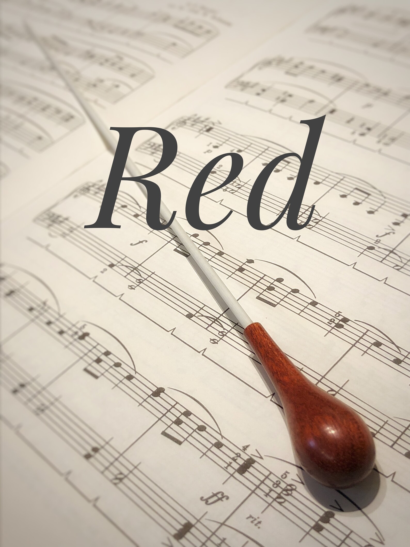 Music Conductor Baton Conducting Baton Conductor's Baton Etsy