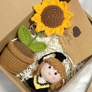 Caja de regalo de graduación Muñeca de graduación de crochet con maceta Decoración de graduación
